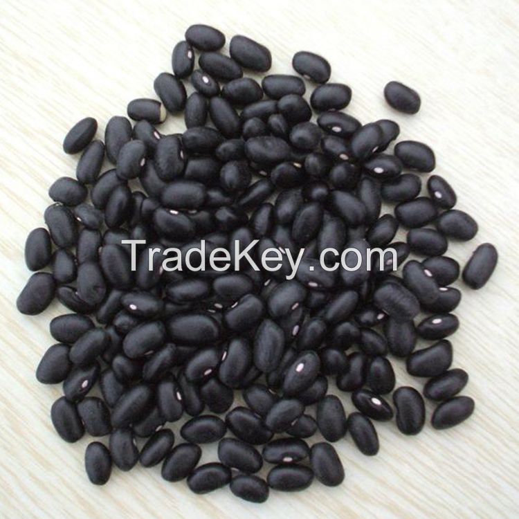 100% Natural Black Kidney Bean Wholesale Price Dried Kidney Bean