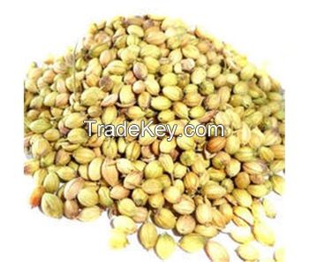 Whole Coriander Seed