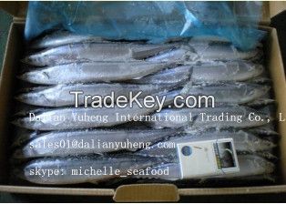 FROZEN PACIFIC SAURY