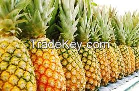 Fresh Pineapple For Sale