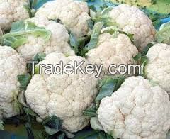 Fresh Cauliflower For Sale