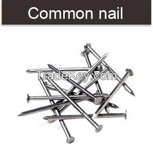 common iron wire nail