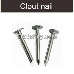 Large flat head clout roofing nail