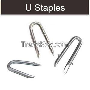 U fence staples U type nails