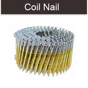 Coil wire nails coil roofing nails