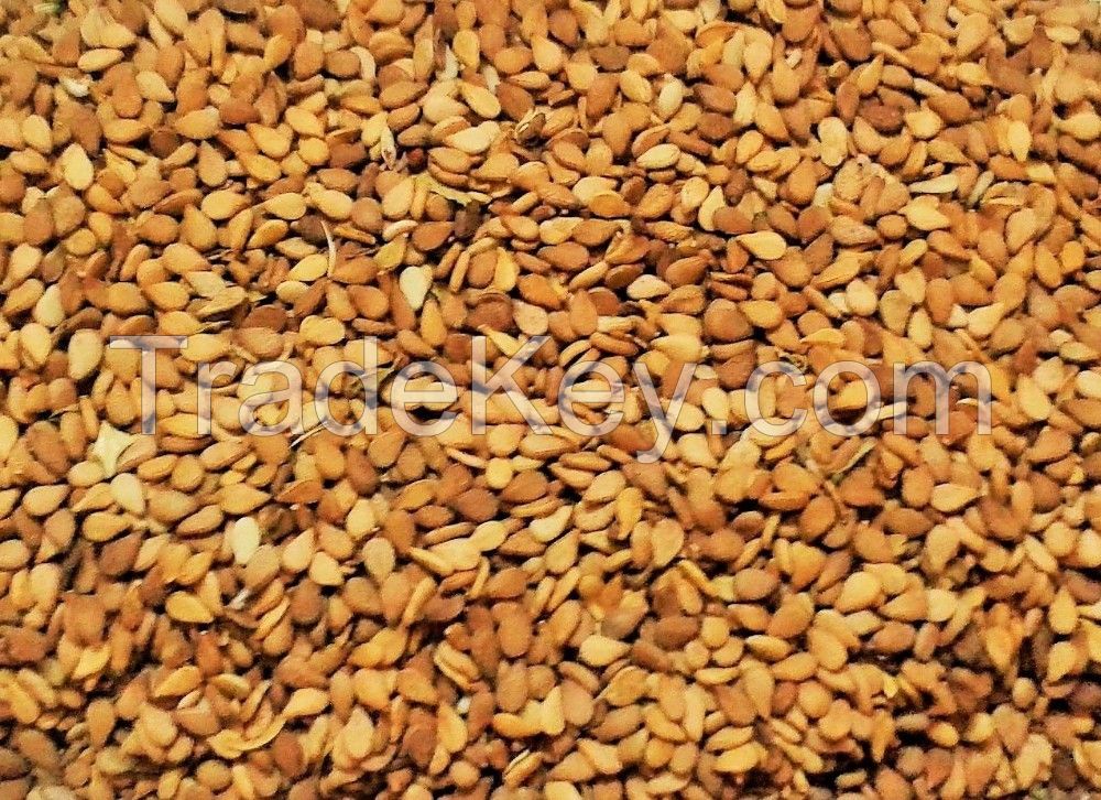 High Quality WHITE AND BLACK Sesame Seeds BEST PRICE