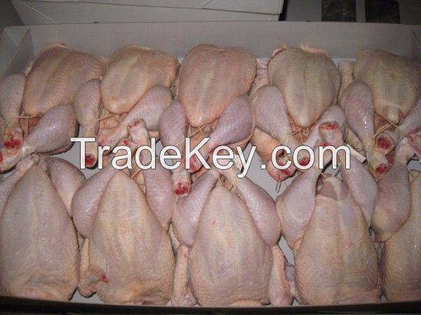 HALAL WHOLE FROZEN CHICKEN, CHICKEN FEET, PAWS WINGS AND OTHER PARTS