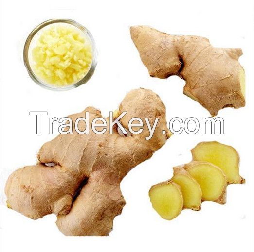 2016 new good quality air dried ginger