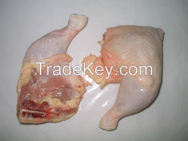 Fresh Frozen Halal Chicken Leg Quarter