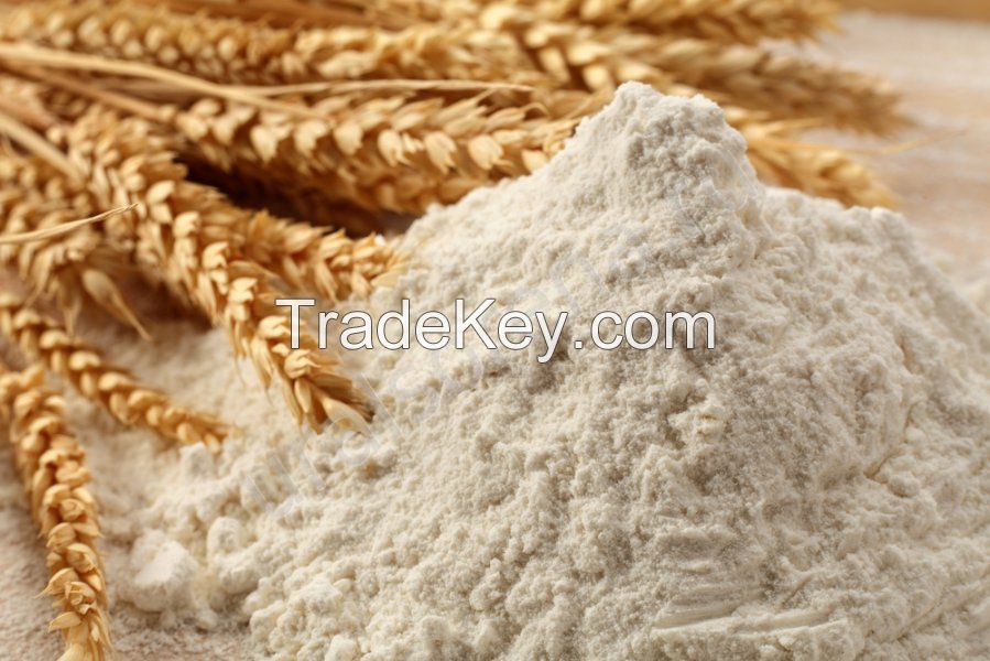 white wheat flour - premium quality