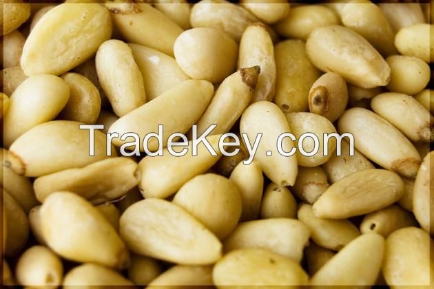 Pine Nuts Kernels