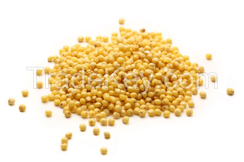 white millet and red millet