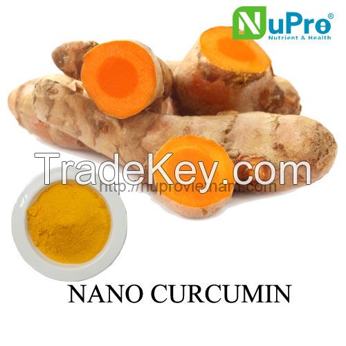 nano curcumin extract