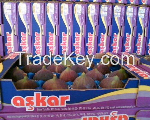 Sell black fresh figs from Bursa/Turkey