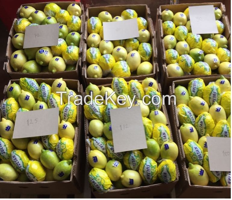 Sell Sultan lemons from Turkey