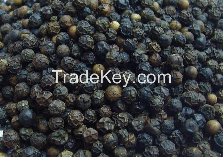 Pepper for export