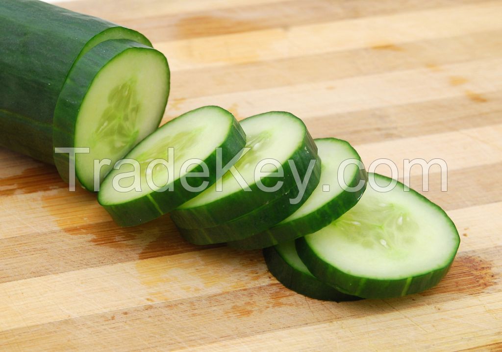 Cucumber Dried Cumcumber