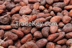 Grade A Cocoa Beans