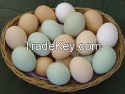 Fresh White and Brown Chicken Eggs
