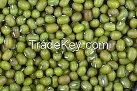 Green Mung Beans for Sale