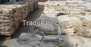 Wet and dry salted donkey hides for export