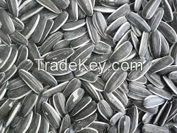 Best Quality Sunflower Seed Kernels 5009