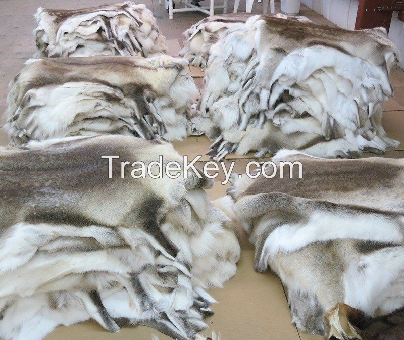 Wholesale Reindeer Skins, Reindeer Furs from Kenya.