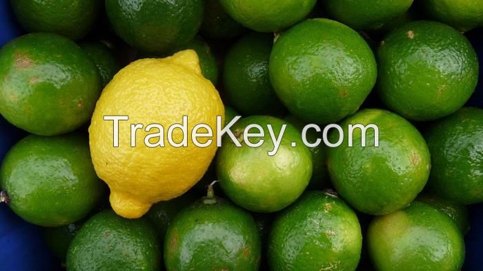 Fresh Adaila Lemon
