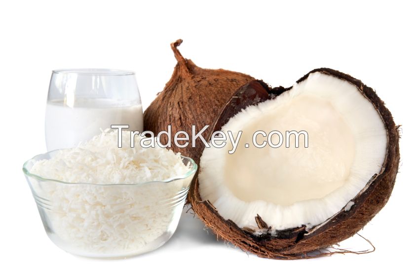 Coconut Milk Powder