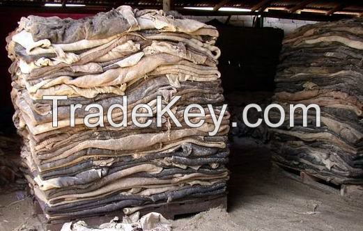 salted dry and wet donkey hide