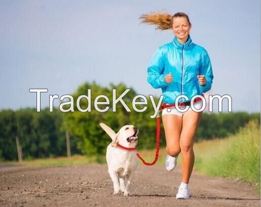Muiltfunction Pet Dog Waistline Walking Rope sets