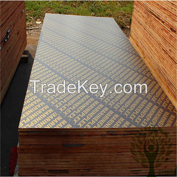 Big size film faced plywood for construction