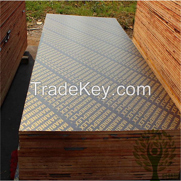 18mm Finger jointed film faced plywood for construction
