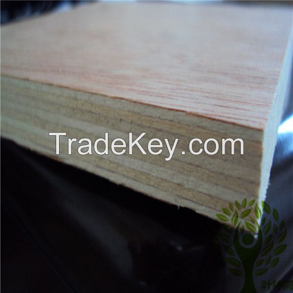 Okoume commercial plywood manufacture