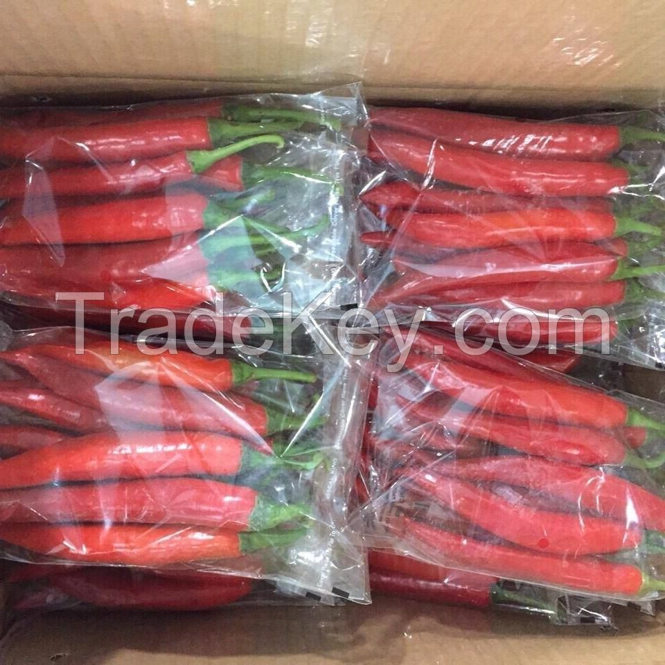 Sell RED CHILLI, Spices, Chilli Peppers