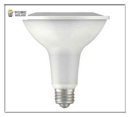 PAR38 13W LED Spot Lamp