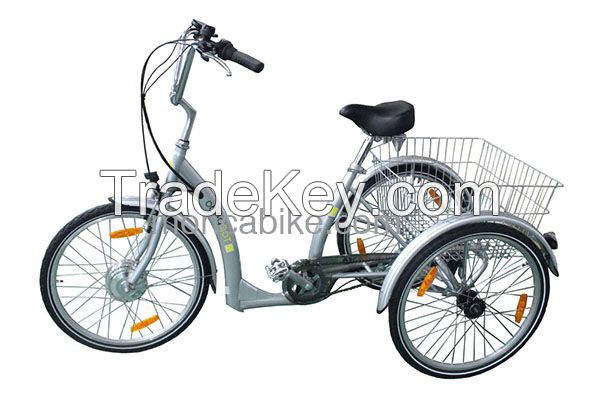Electric Trike-good tools for going shopping
