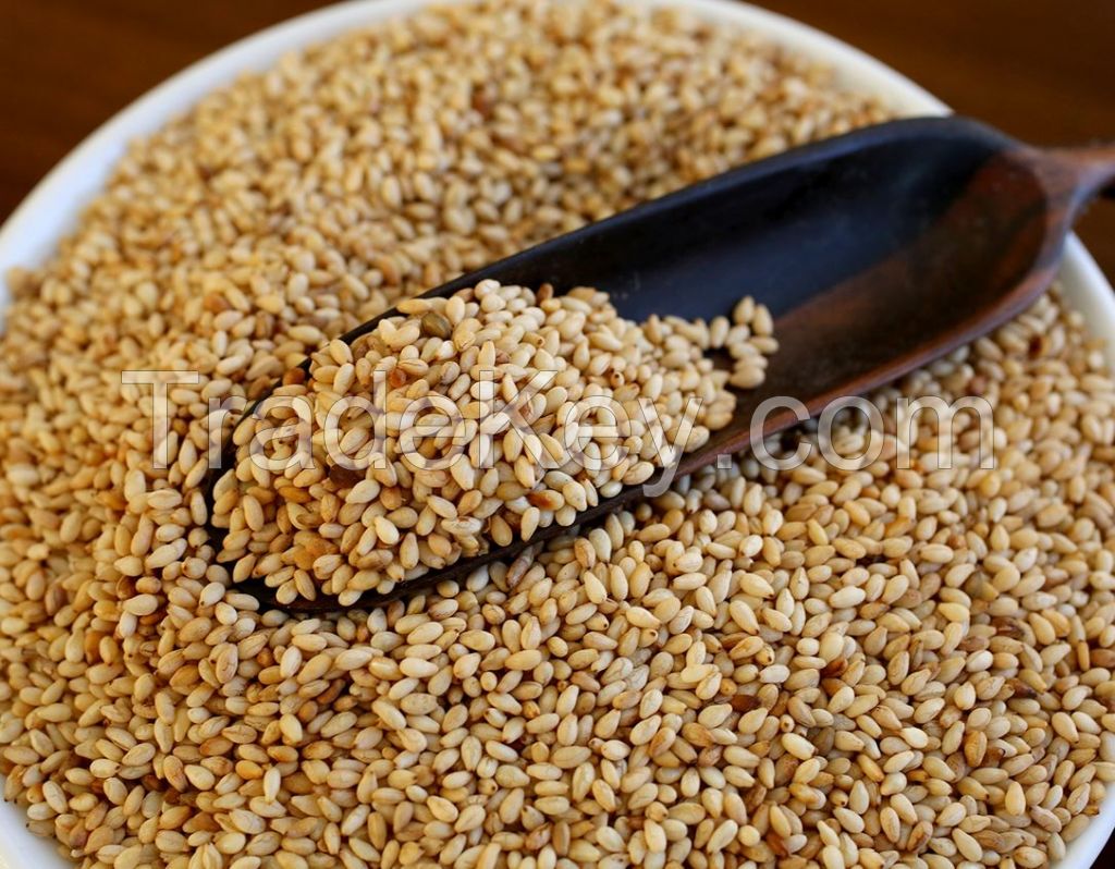 Sesame Seed