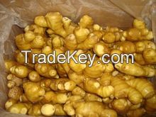 Fresh Ginger 100g-150g-200g-250g