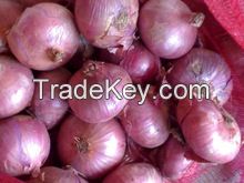 FRESH RED AND YELLOW ONION