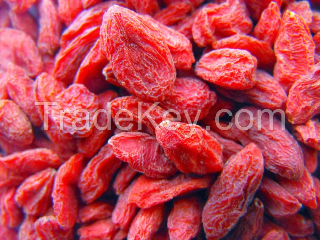 Top Quality Dried Goji Berries