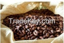 Dry Cocoa bean