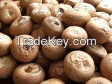 Quality processed dried Betel Nuts for sale at very good prices