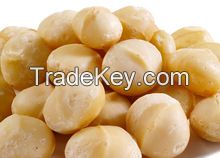 Raw Macadamia Nuts/ Dried Macadamia Nuts/ Dry Macadamia Nuts/ Fresh Macadamia Nuts