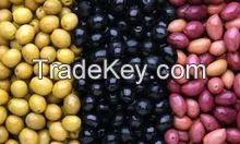 Good Quality fresh Olives Available