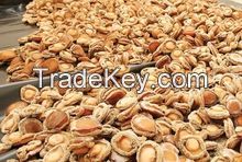 Dried Abalone factory price