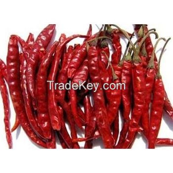 High Quality Dried Red Chilli Pepper