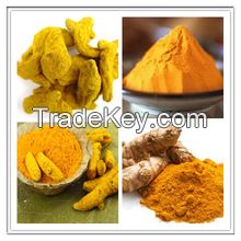 High Quality Natural Bulk Turmeric Powder