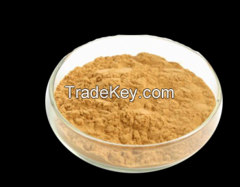 Food Grade Hazelnut Powder