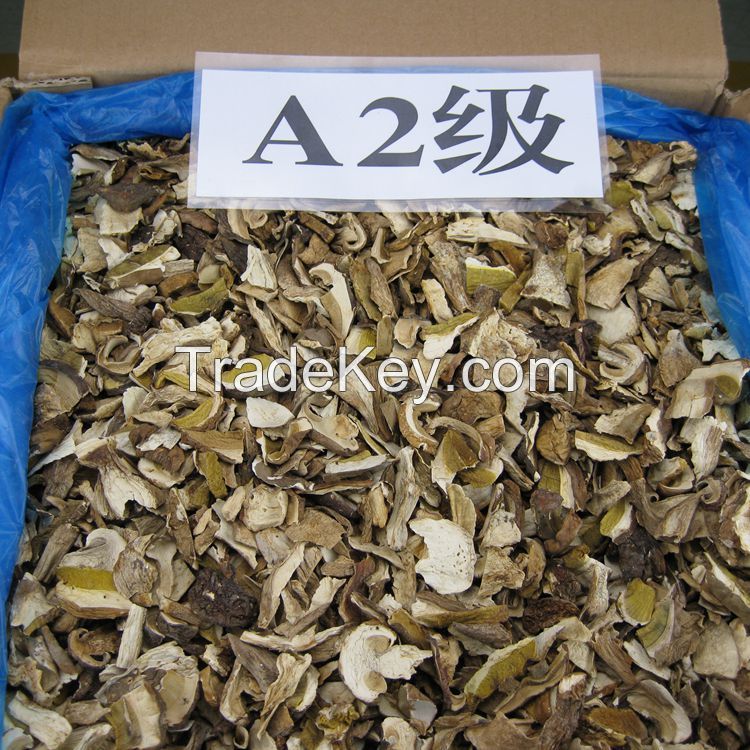 Dried Boletus Edulis Slice Grade A2